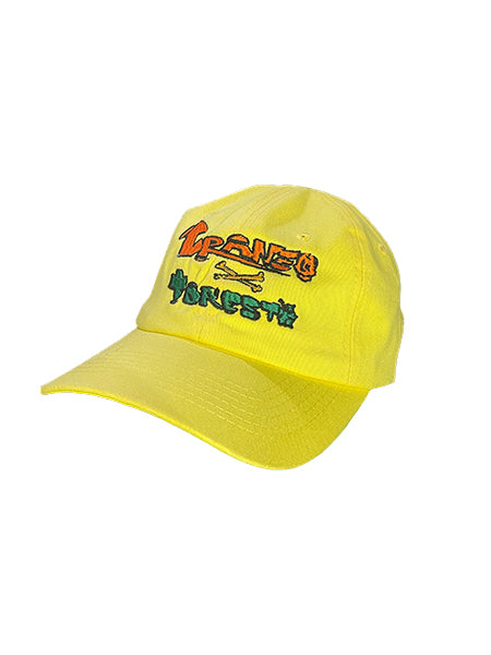 Gorra Forest Worldwide