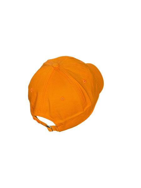 Gorra Forest Worldwide